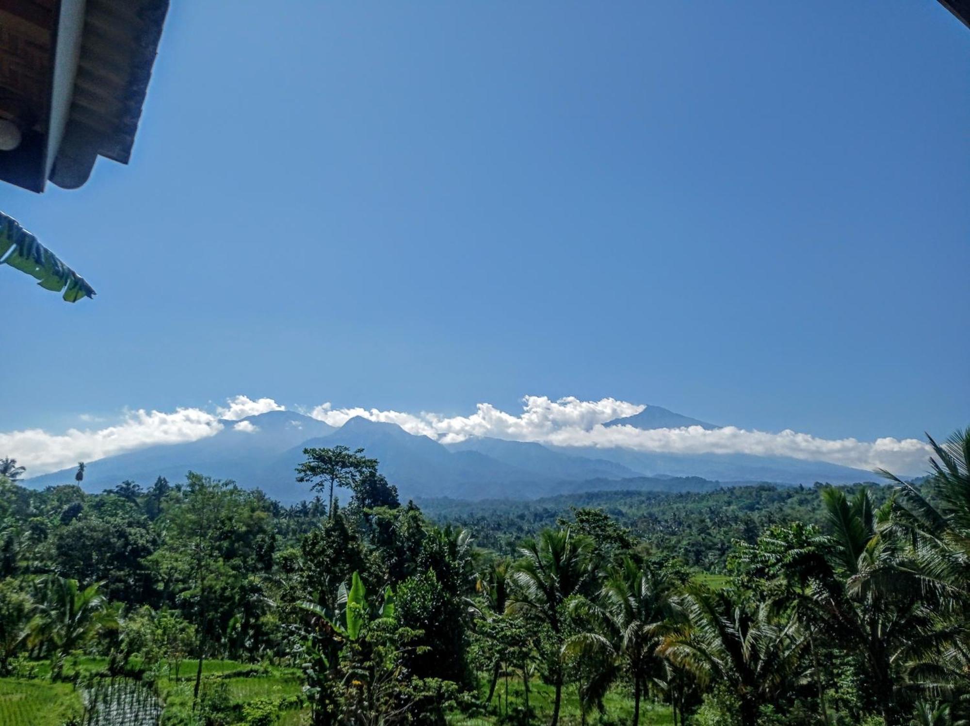 Tetebatu Mountain View Homestay Habitación foto