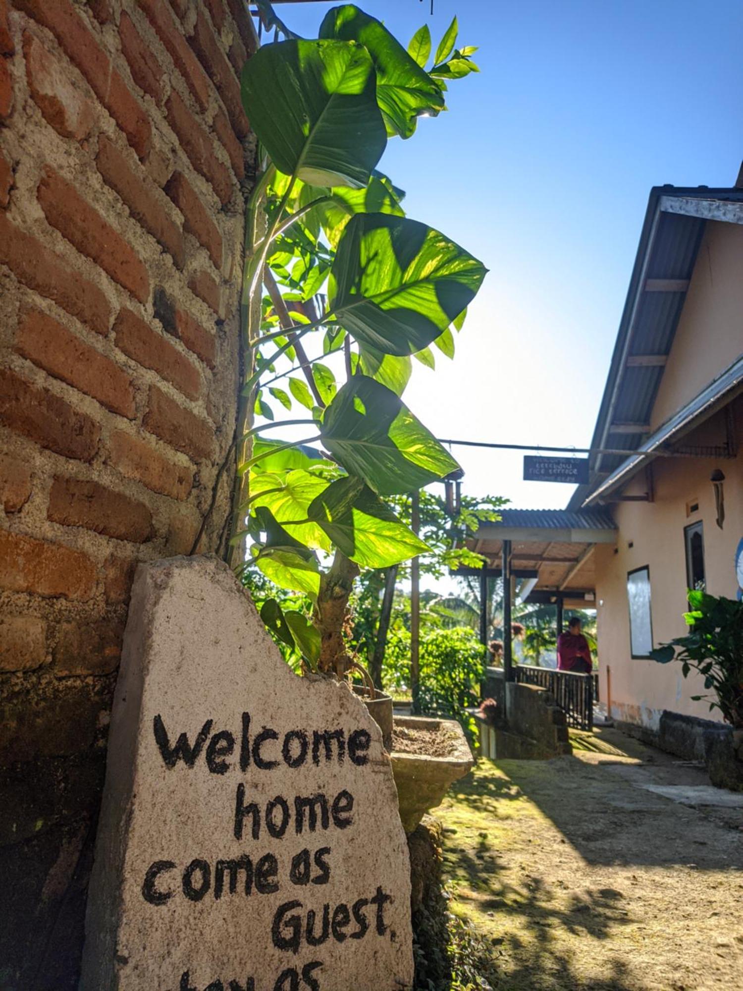 Tetebatu Mountain View Homestay Habitación foto